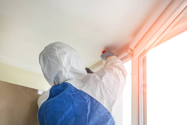 Trusted Luverne, MN Mold Removal & Remediation Experts