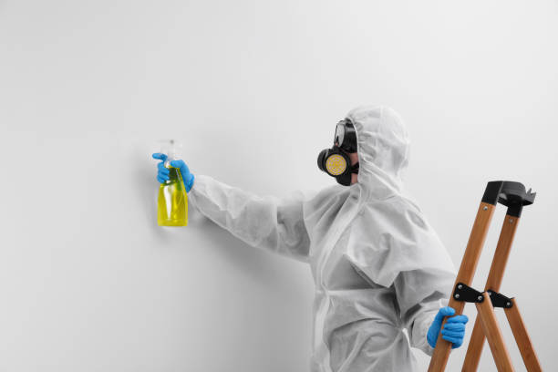 Best Commercial Mold Inspection  in Luverne, MN